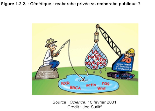 Mission prospective Wallonie 21 - Rapport 2002 - Figure 122. Gntique : recherche prive vs recherche publique ?