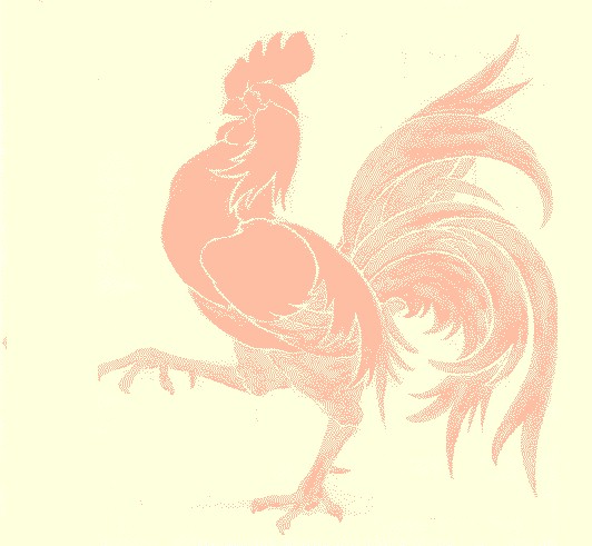 Coq-wallon_Paulus.jpg (49126 octets)