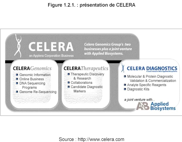 Mission prospective Wallonie 21 - Rapport 2002 - Figure 121. Prsentation de CELERA